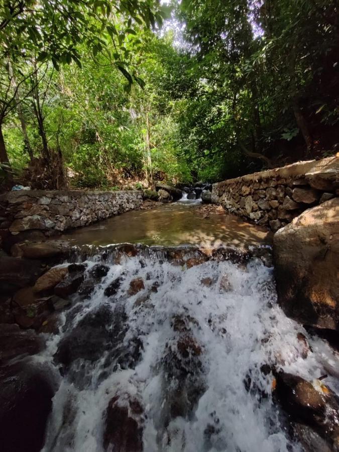 Forest And River Edge Resort Kannur ภายนอก รูปภาพ