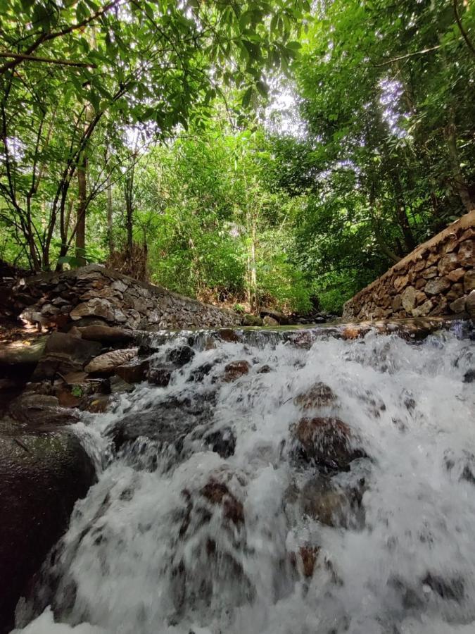 Forest And River Edge Resort Kannur ภายนอก รูปภาพ
