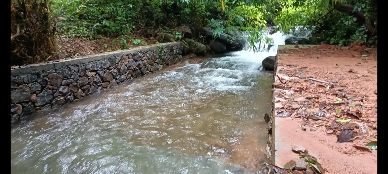 Forest And River Edge Resort Kannur ภายนอก รูปภาพ